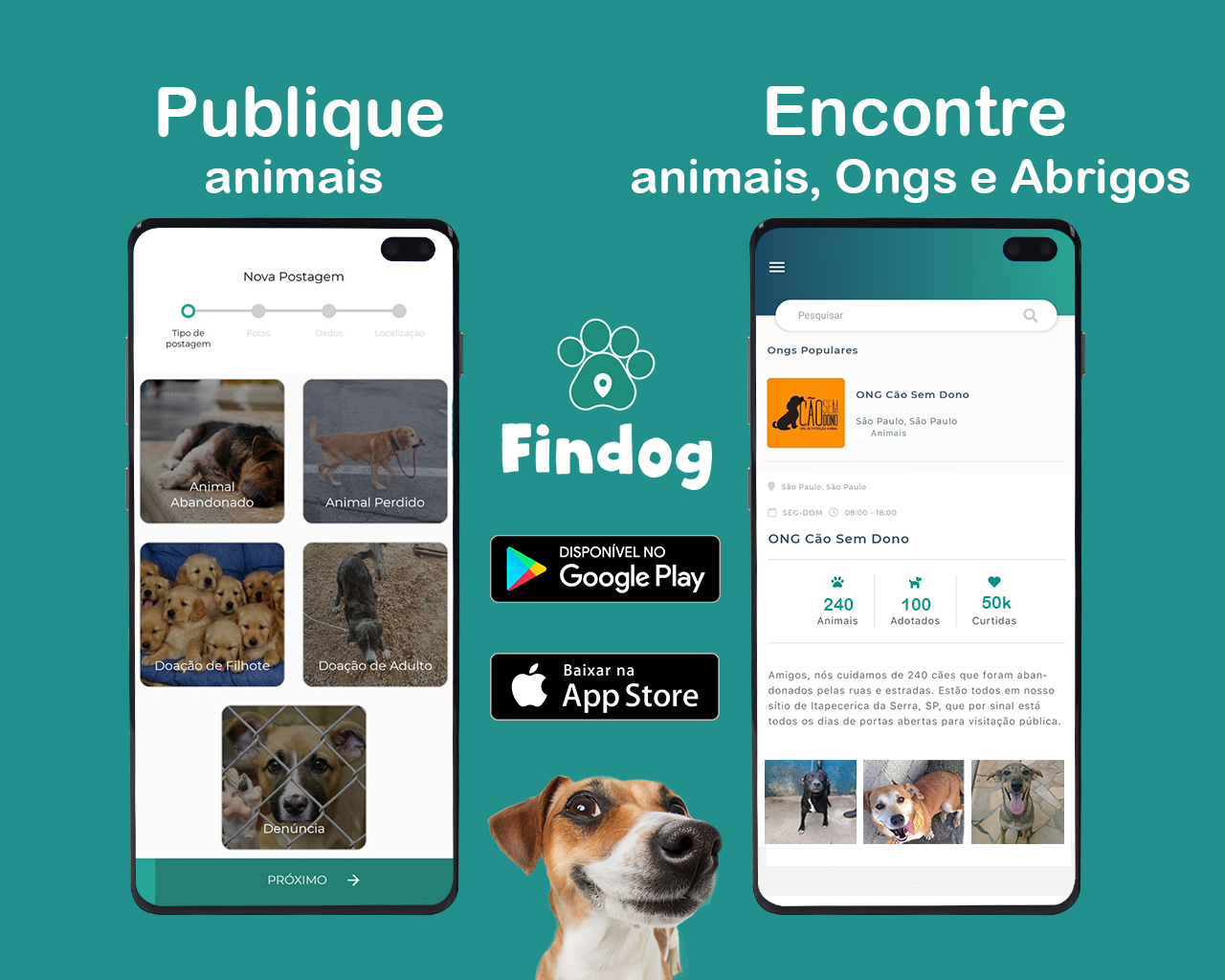 Findog - Publique e Encontre