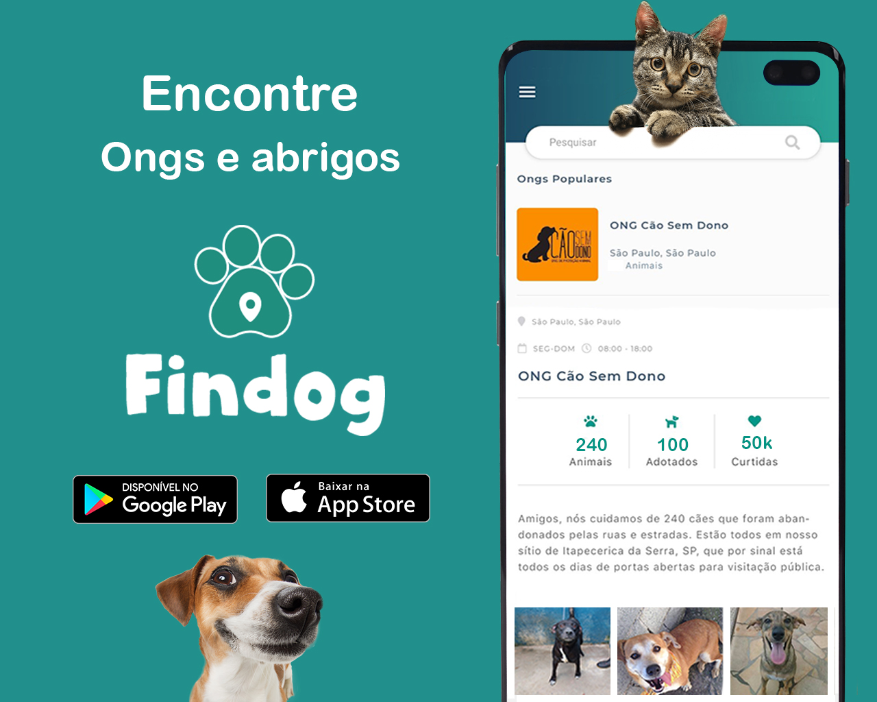 Findog - Encontre ONGs